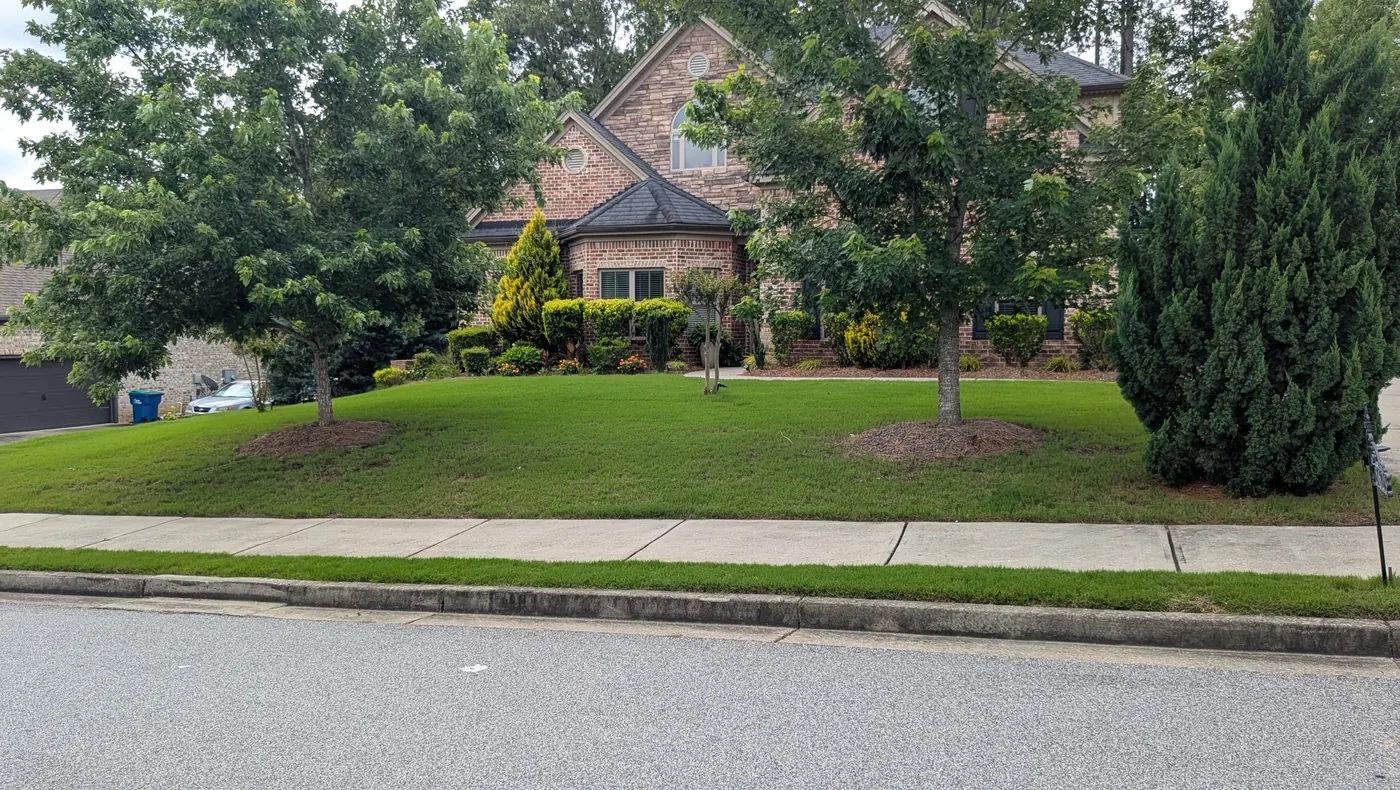 A lawn treated by Grass Armor in metro Atlanta